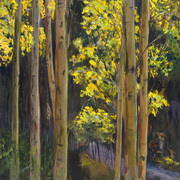 Golden Aspen