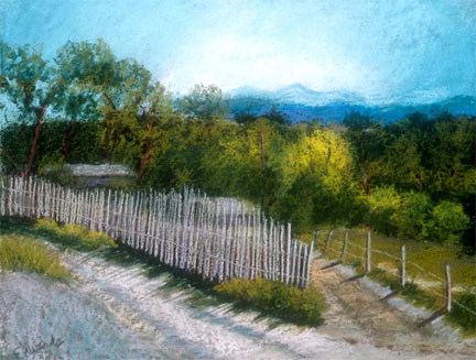 Coyote Fence North of Santa Fe