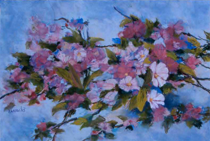 Apple Blossom Branch