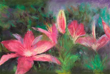 Fuchsia Lillies in My Yard