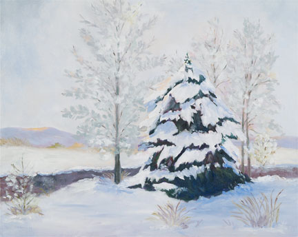 Heavy Snow in Steamboat