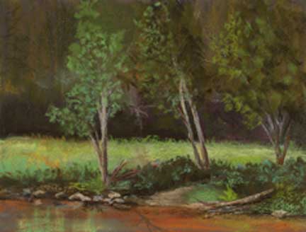 Lair of the Bear Park