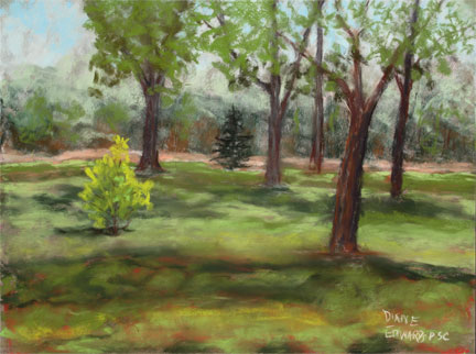 Namaqua Park, Loveland in Spring