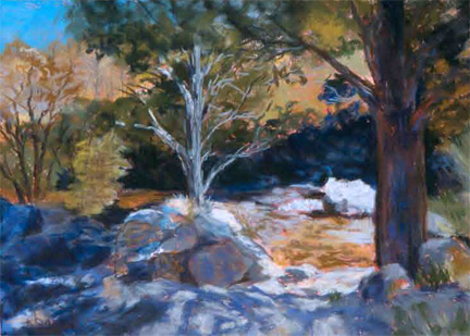 On the Way to Allenspark