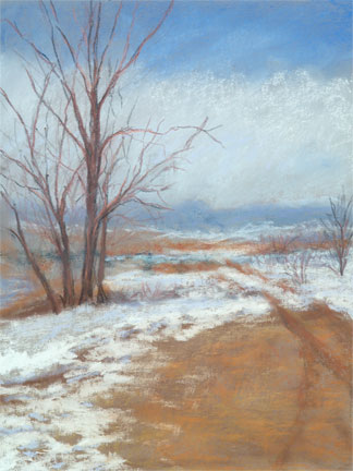 Taft Hill Road, January Snow