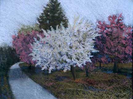 The Arboretum at CSU