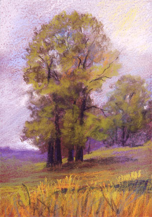 Tree in the Meadow
