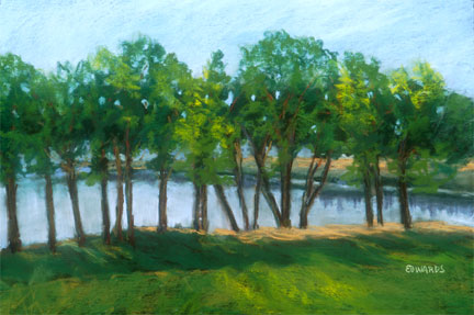 Trees at Lake Loveland