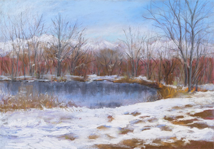 Winter at the Ponds