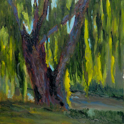 Backlight Willow on the Big Thompson