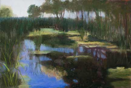 From the Edge of the Swamp