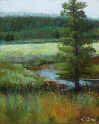 The Poudre River at the Source, Pingree Park