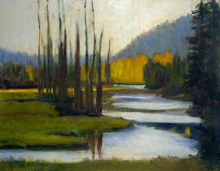 Yellowstone After the Fire