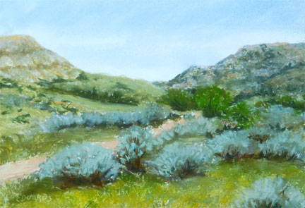 Badlands at S. Theodore Roosevelt Park, ND