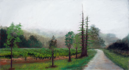 The Road from Sonoma