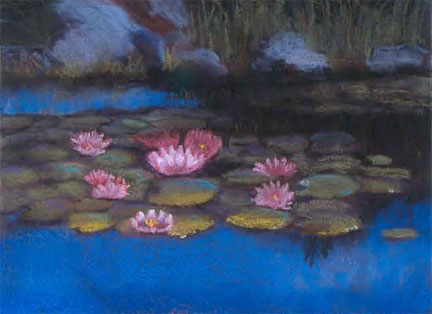 Water Lily Reflections