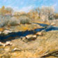 The Poudre, January