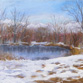 Winter at the Ponds